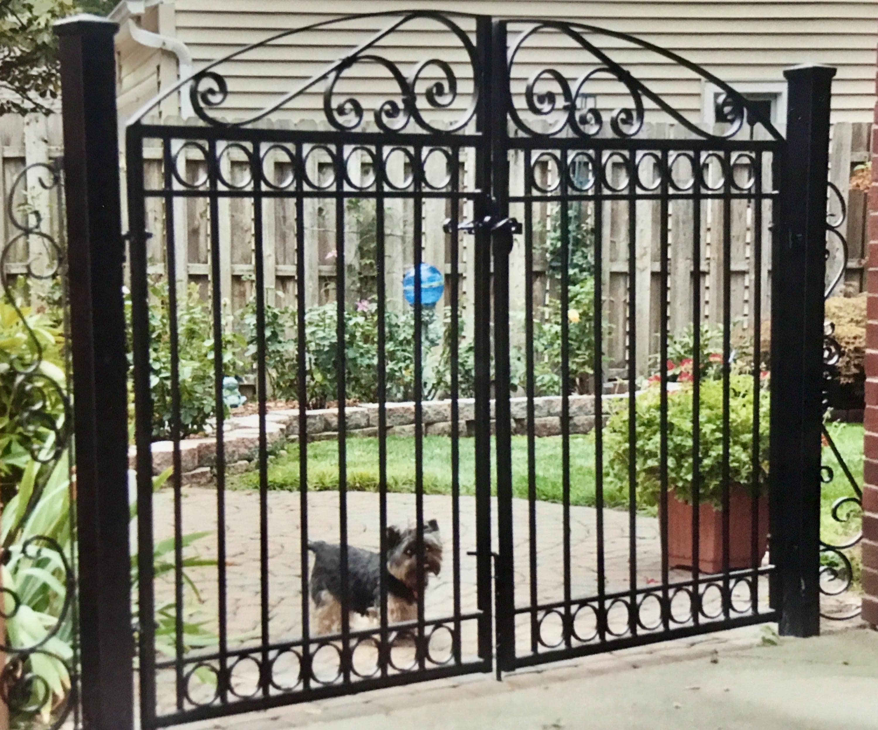 Handmade Double Iron Garden Gate: Woodland Ornament, Steel Vines